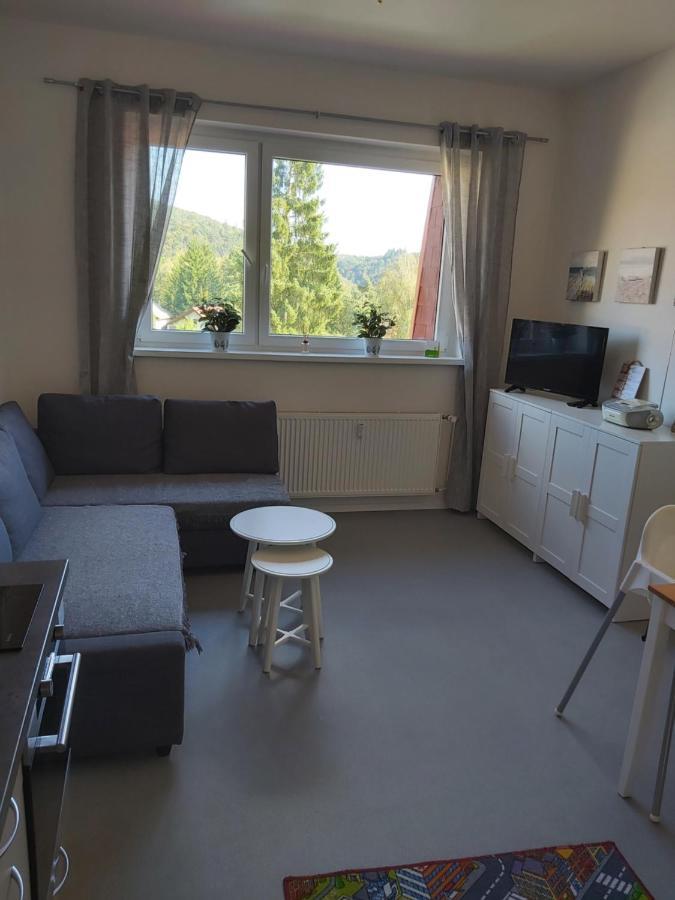 Tony Apartment Slapy nad Vltavou