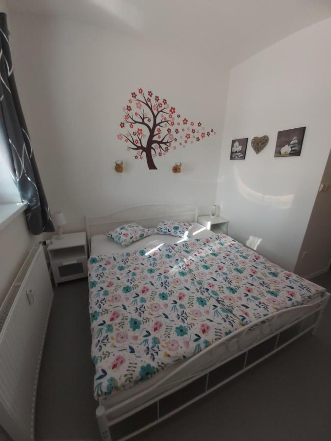 Tony Apartment Slapy nad Vltavou